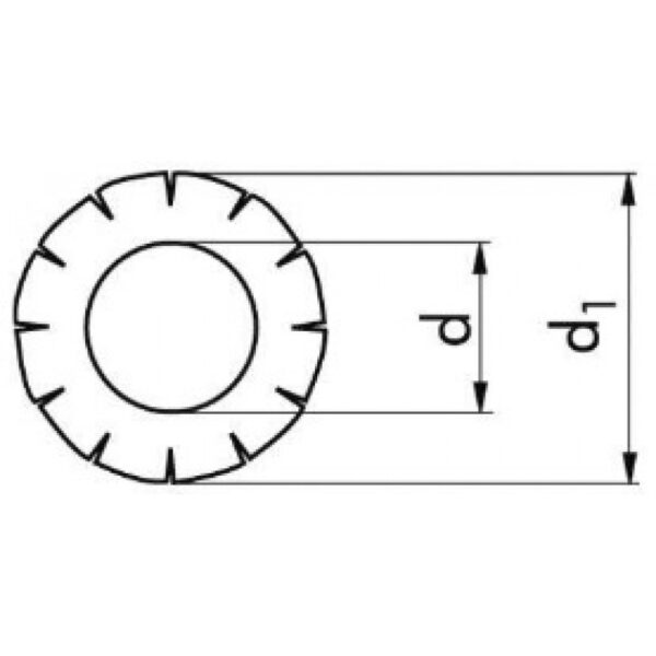 DIN 6798A – Saiba crestata exterior, zincata